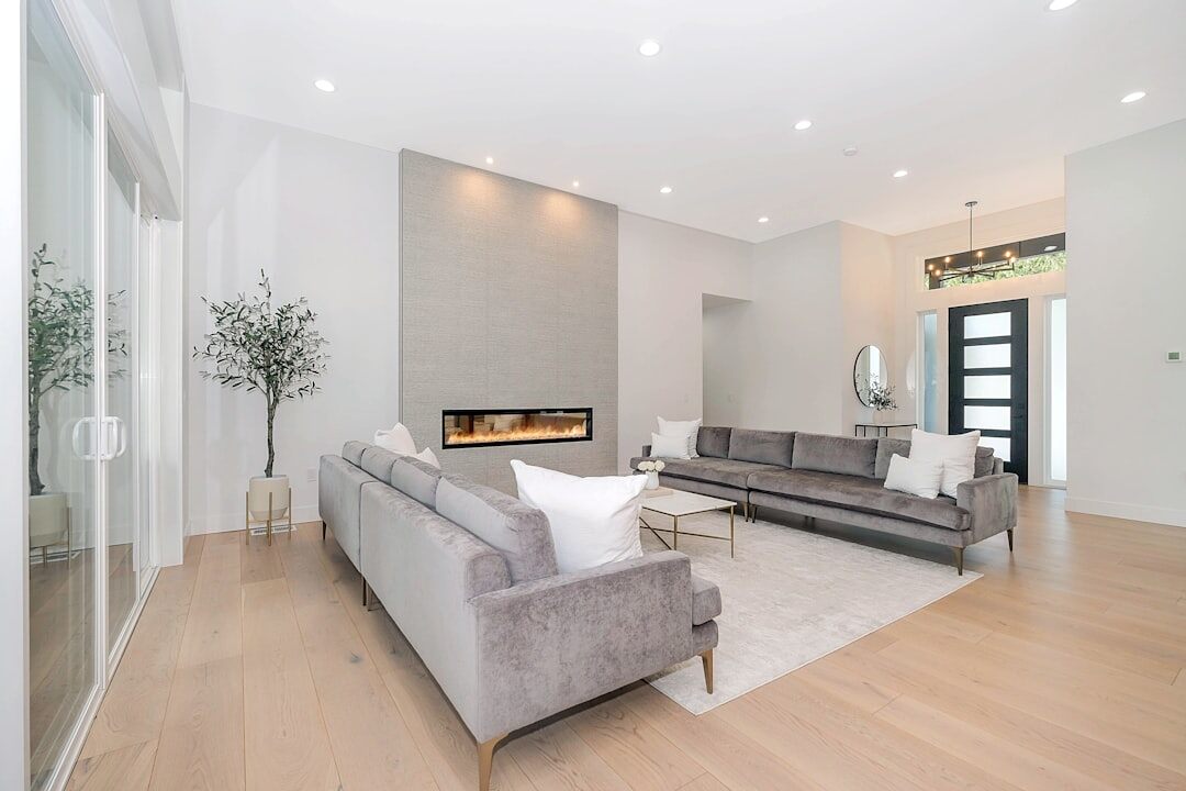luxury interior living room